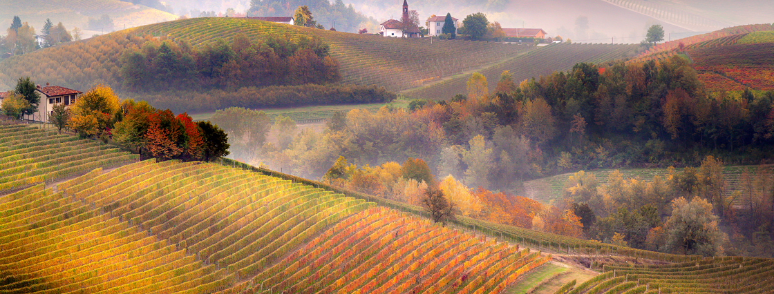 Explore Italy's beautiful vineyard landscapes - Introduction