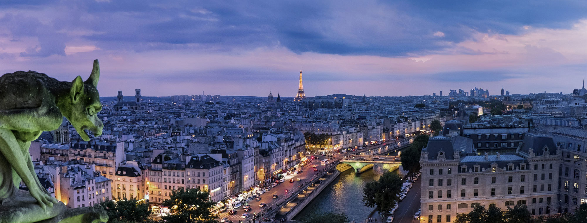 France Paris Night Blue Purple Sky Gargoyle Eiffel Tower Cityscape Panorama (1)